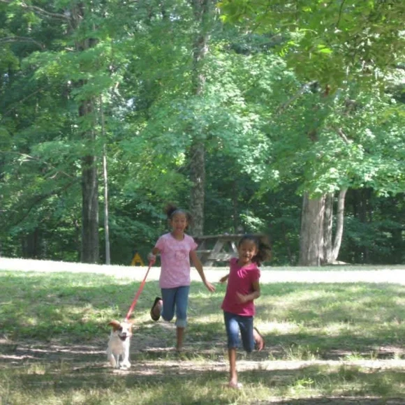 Meet The Posher - Picture 1 of 5